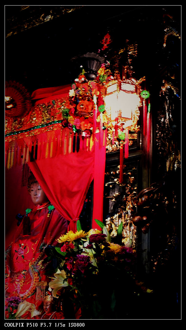 DSCN1202.jpg
