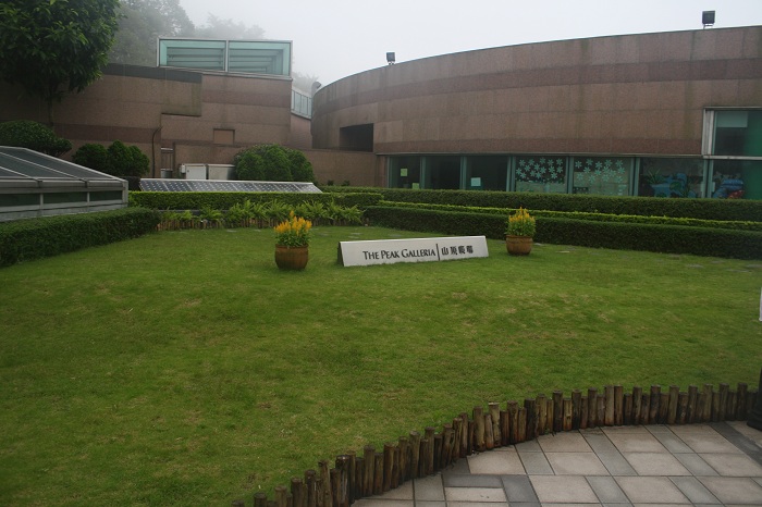 111.JPG