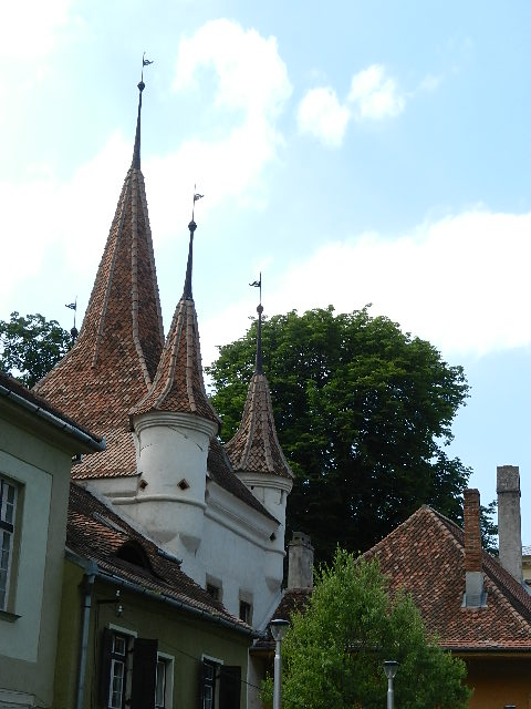 DSCN1987.JPG