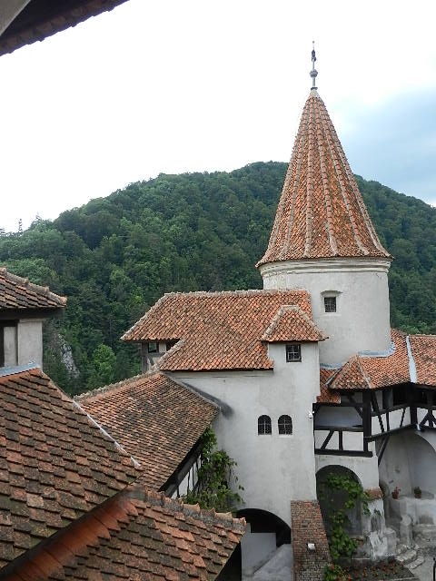 DSCN1904.JPG