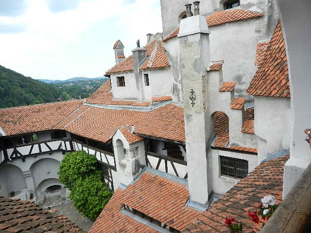 DSCN1908.JPG