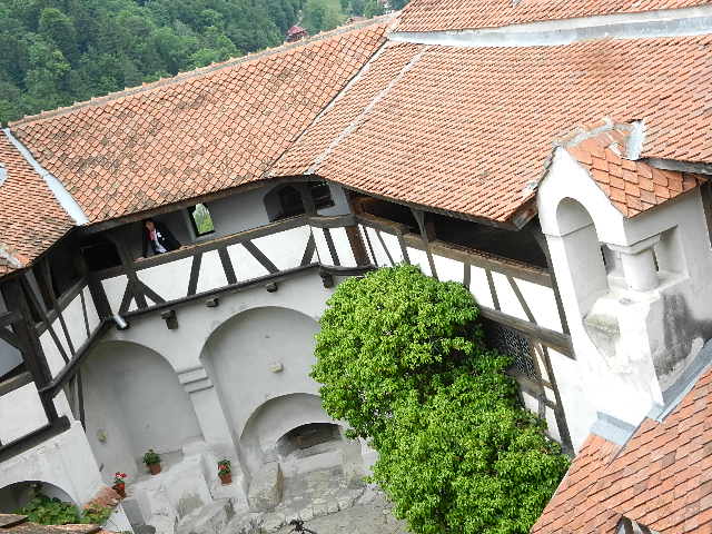 DSCN1909.JPG