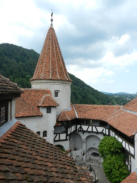 DSCN1910.JPG