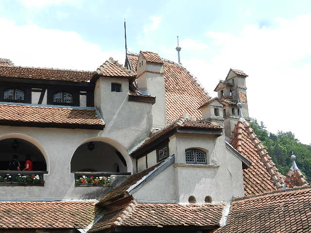 DSCN1971.JPG