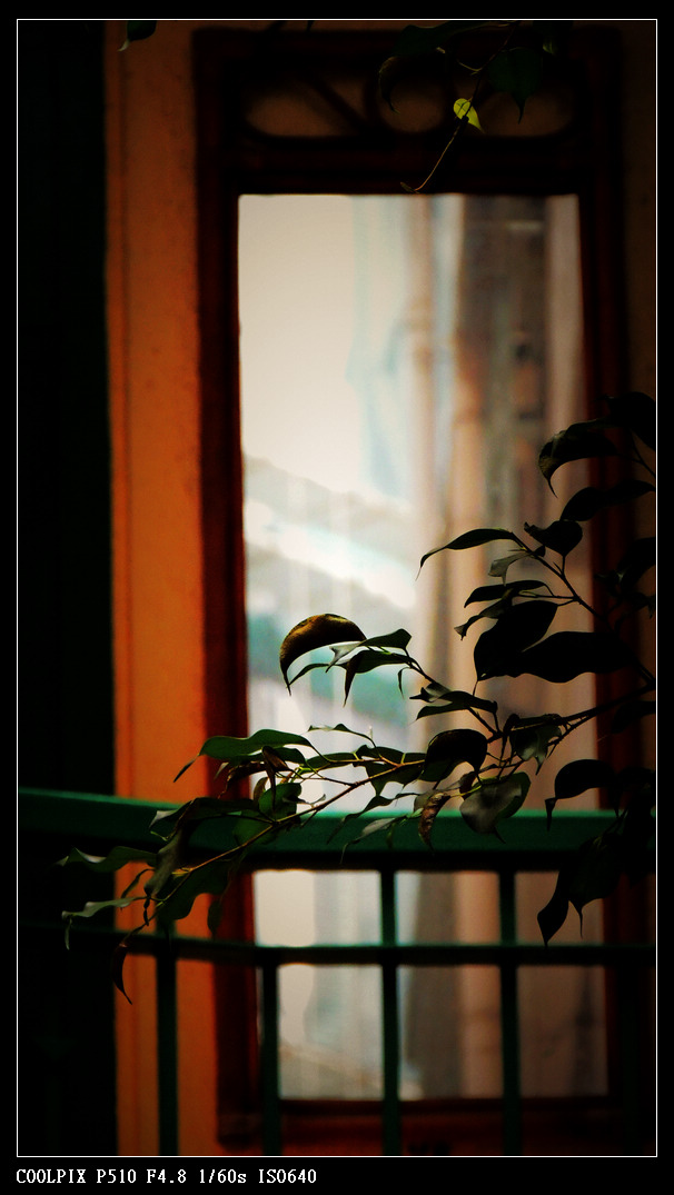 DSCN1048.jpg