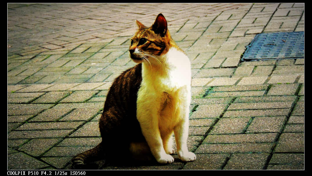 DSCN1057.jpg