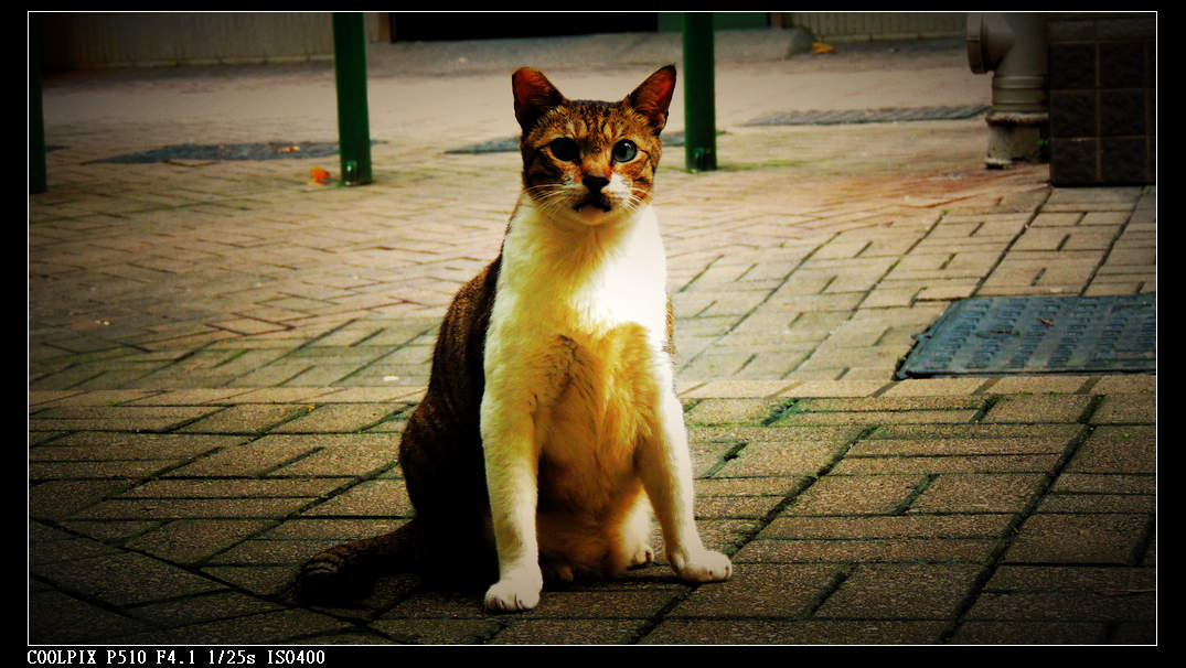 DSCN1058.jpg