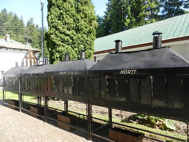 DSCN2172.JPG