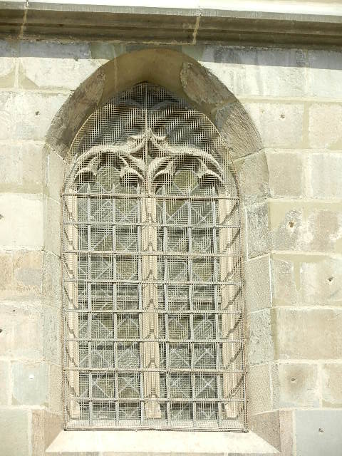 DSCN2013.JPG