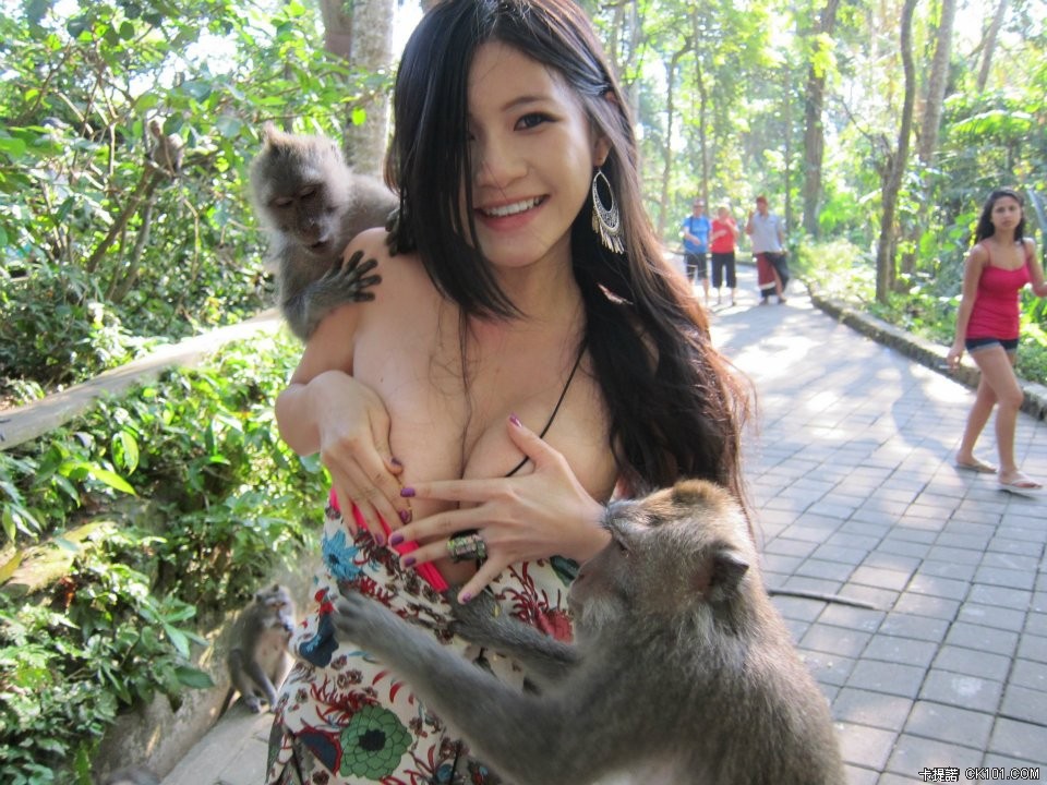 MONKEY.jpg