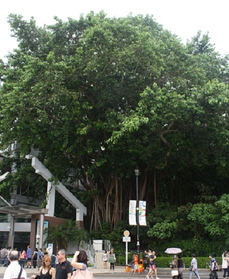 185.JPG