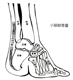 unnormal foot4-1-2-1(2-250).jpg