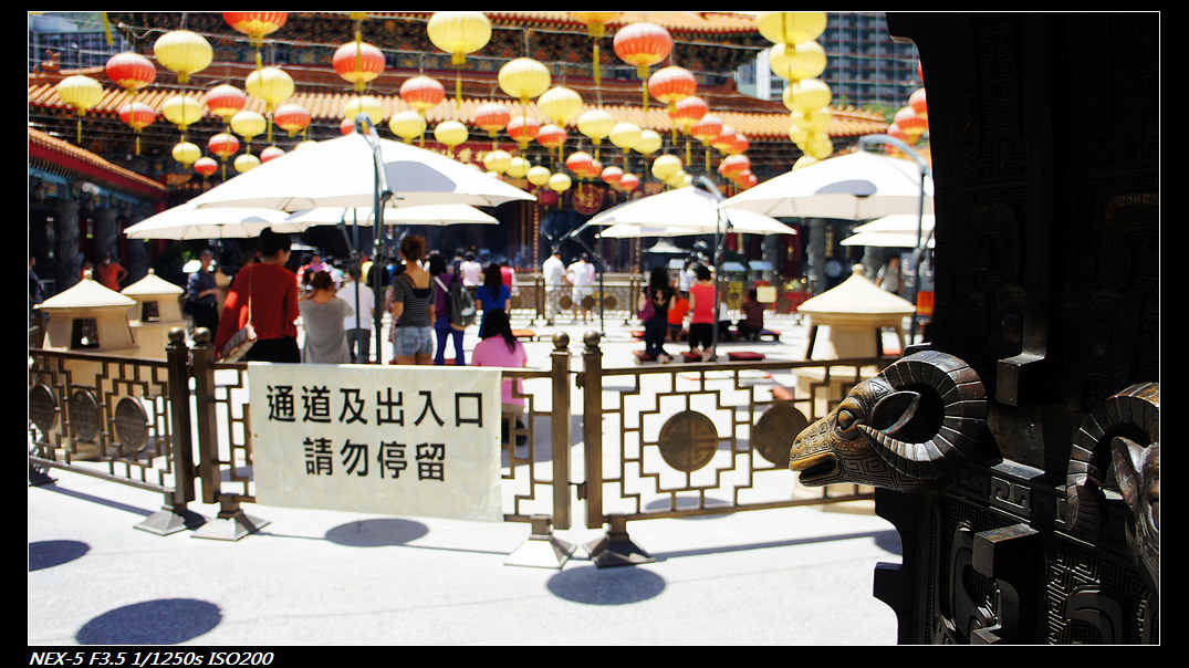 DSC04385.jpg
