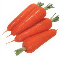 5 胡蘿蔔.jpg