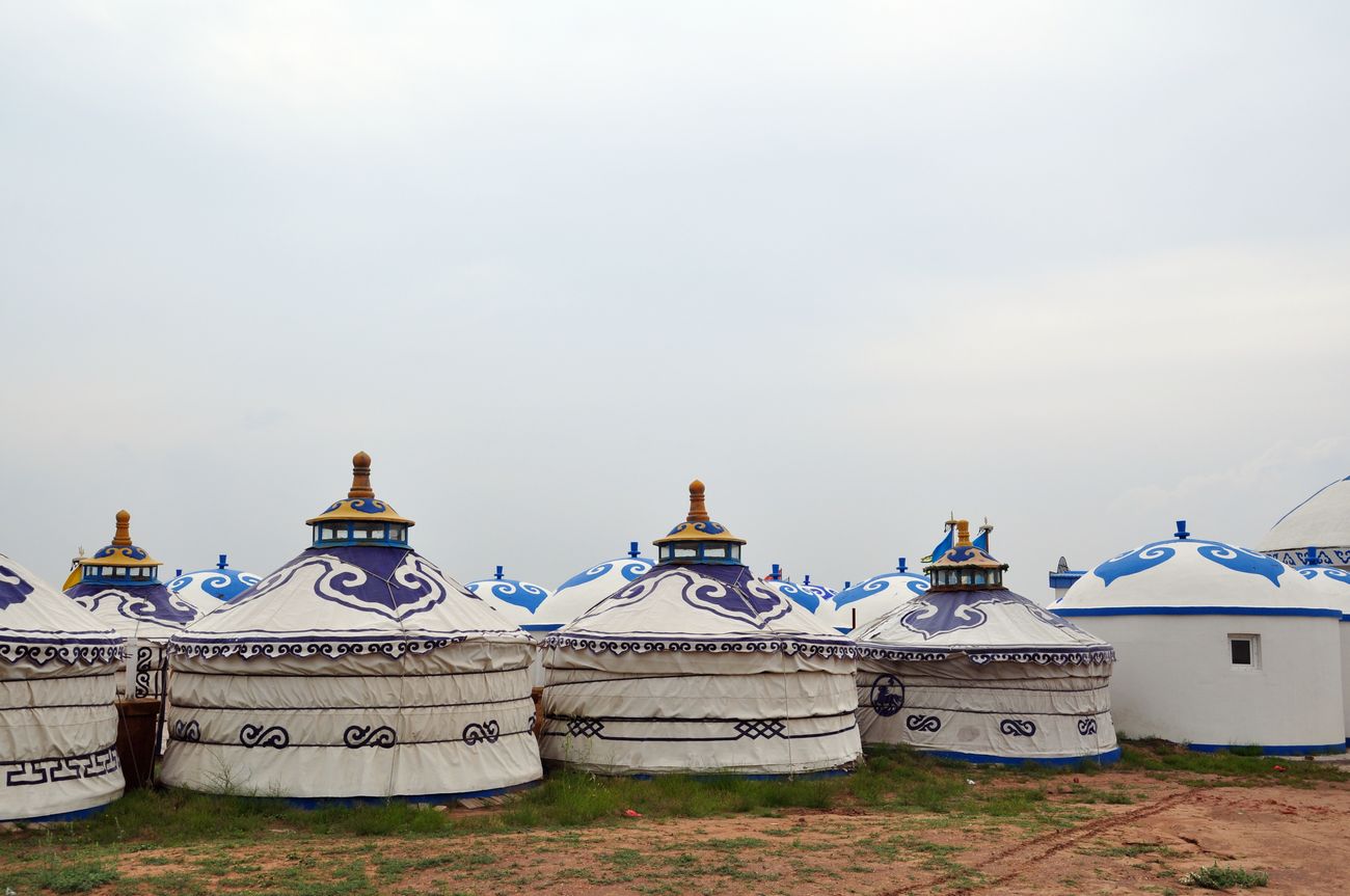 DSC_2365.jpg