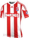 Stoke City Home.png