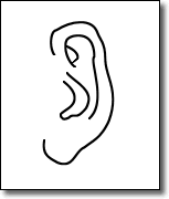 四、耳朵代表聲譽3.gif