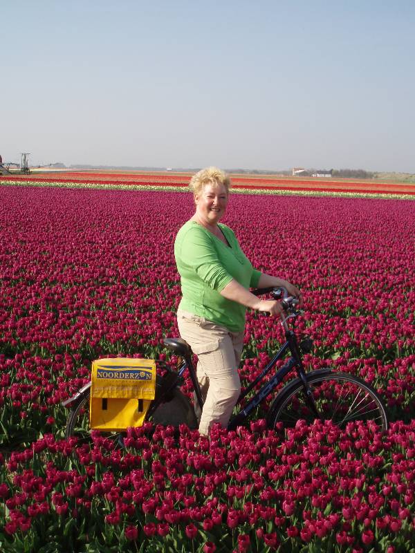 tulip tour holland.jpeg