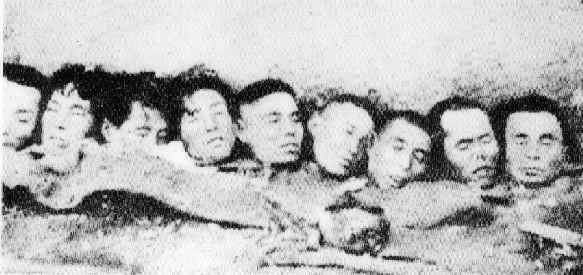 head3.jpg