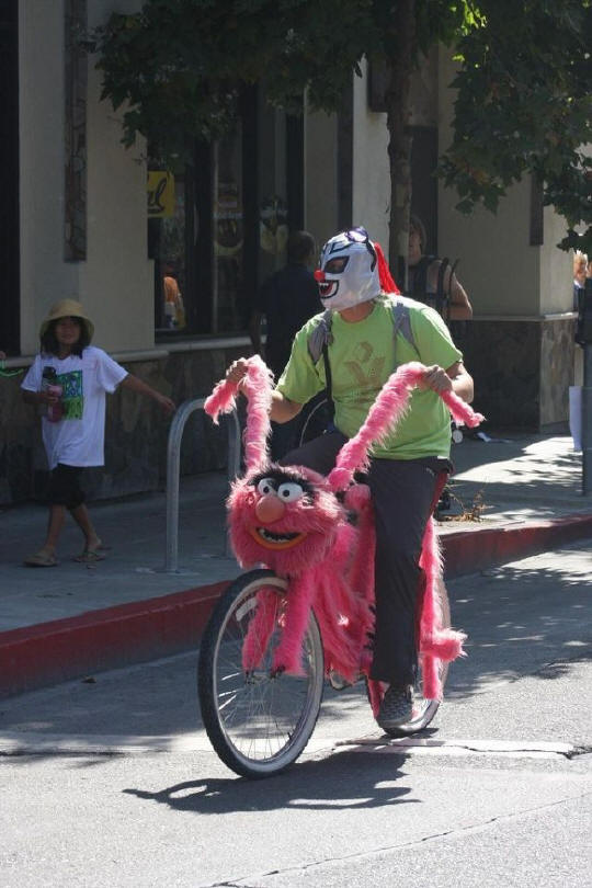 animal-muppet-bicycle.jpg