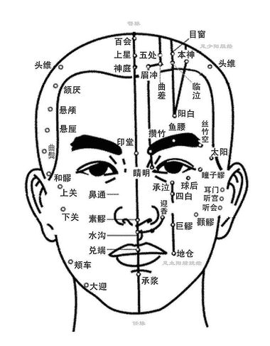 頭部穴位.jpg