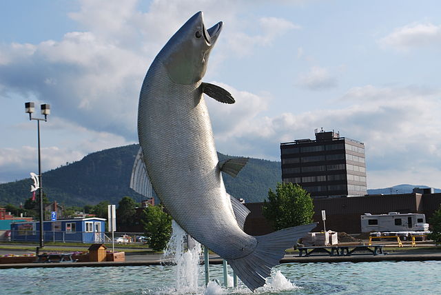 640px-Salmon_sculpture_Campbellton01.JPG