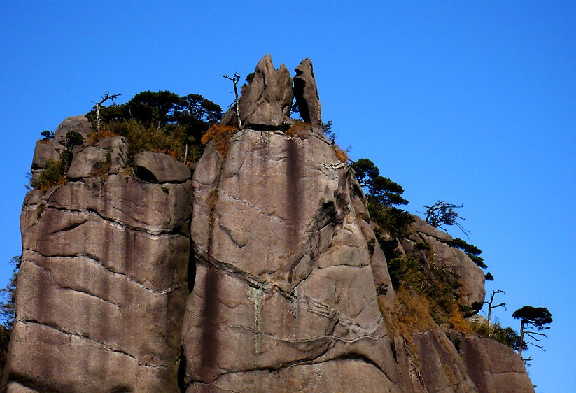 196240_1290477940三清山／狐狸啃鸡.jpg