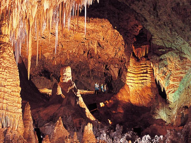 Carlsbad-Caverns-National-Park-An-amazing-destination_1.jpg