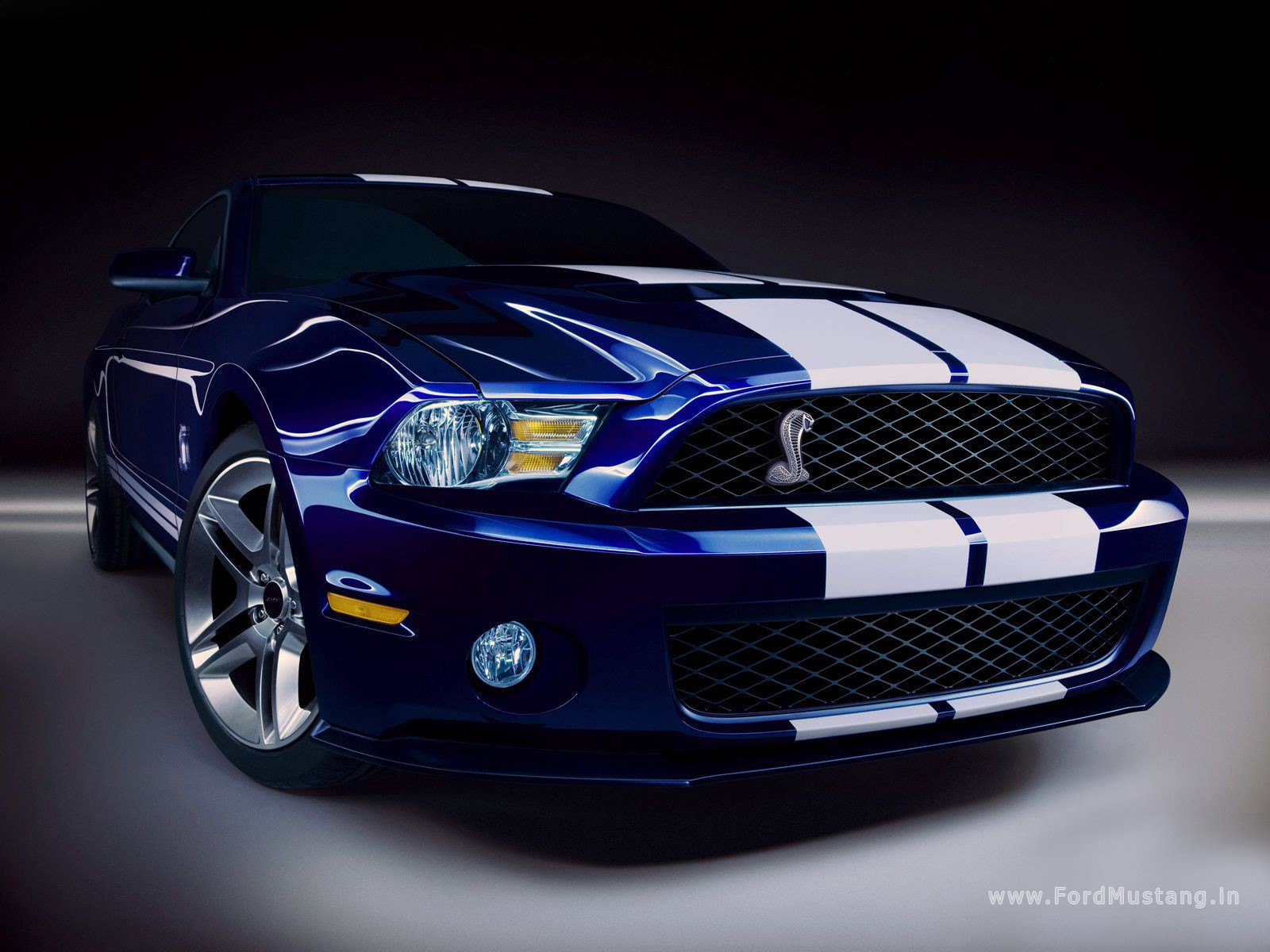 ford-mustang-shelby-gt500-2010-03.jpg