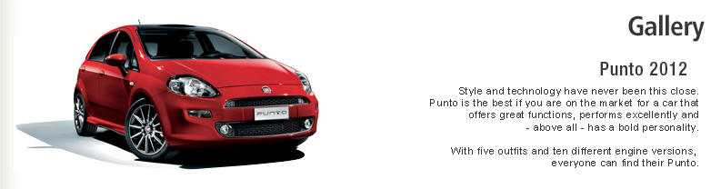 Fiat Punto 2012.jpg