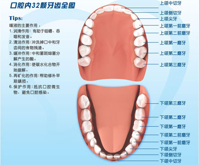 爱护牙齿18[1].jpg