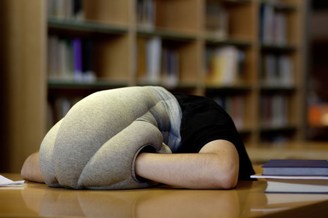 kickstarter-ostrich-pillow-1.jpg