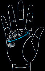 hand2.jpg