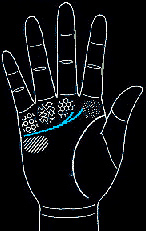 hand5.jpg