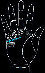 hand6.jpg