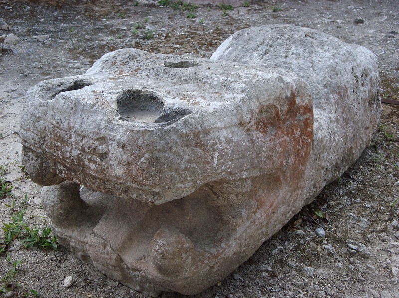 19.jpg