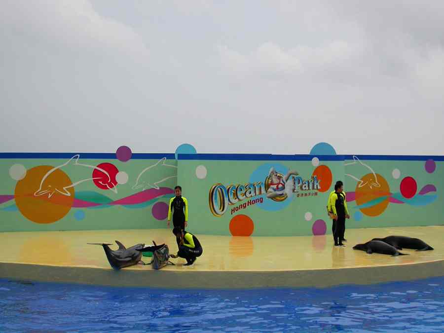 Ocean Park 4A.jpg