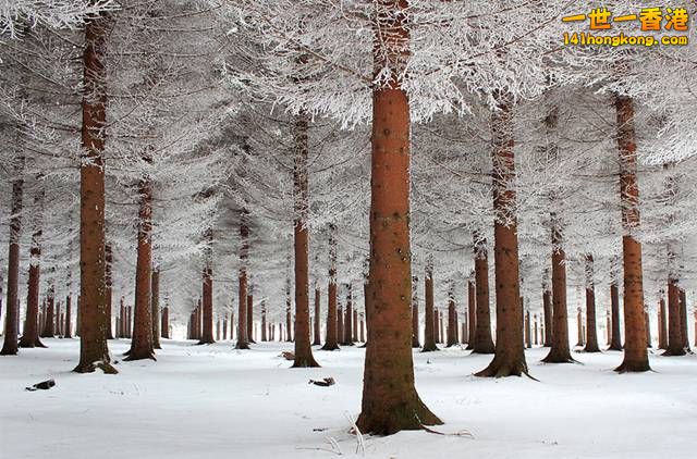 迷人的冬季景觀  Winter Landscapes  -   06.jpg