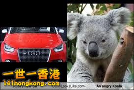 Audi Koala.jpg