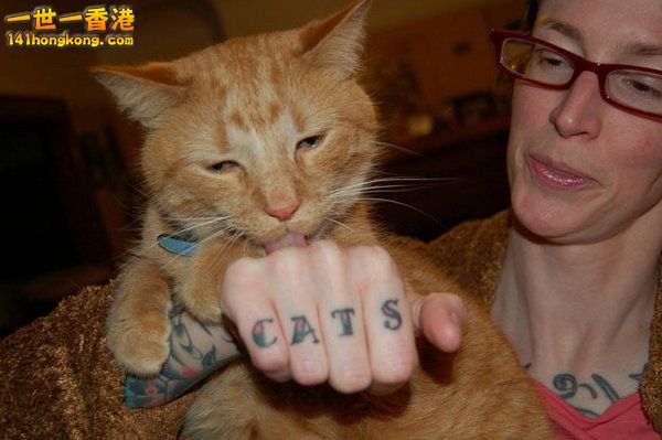 cat-tattoo-15.jpg