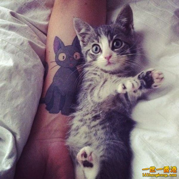 cat-tattoo-19.jpg