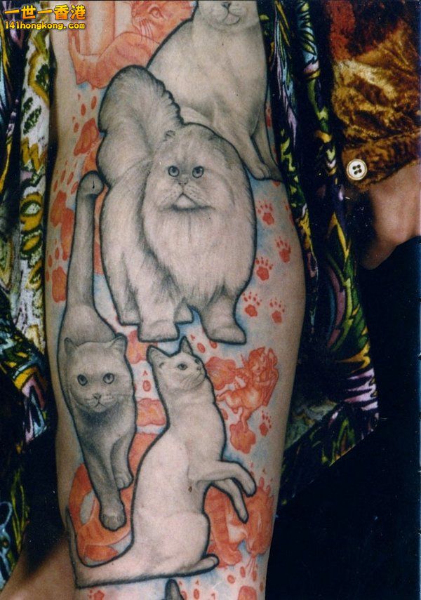 cat-tattoo-23.jpg