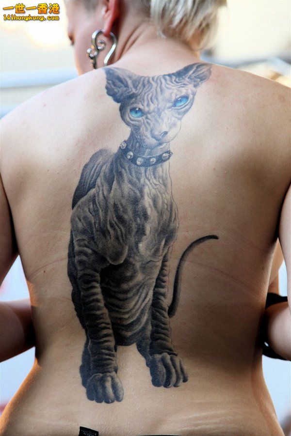 cat-tattoo-25.jpg