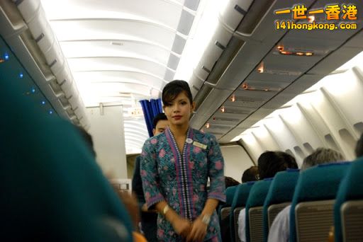 Malaysia Airlines Beautiful sexy Stewardess.jpg