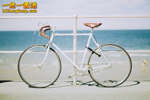 beach-bicycle-cute-indie-Favim.com-535811_large.jpg