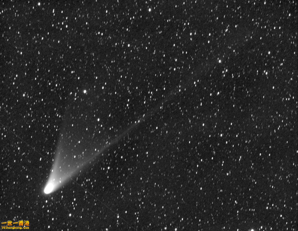 cometpanstar.jpg