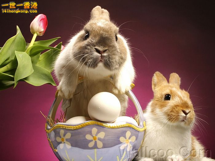 Two bunnies and a basket of eggs.jpg