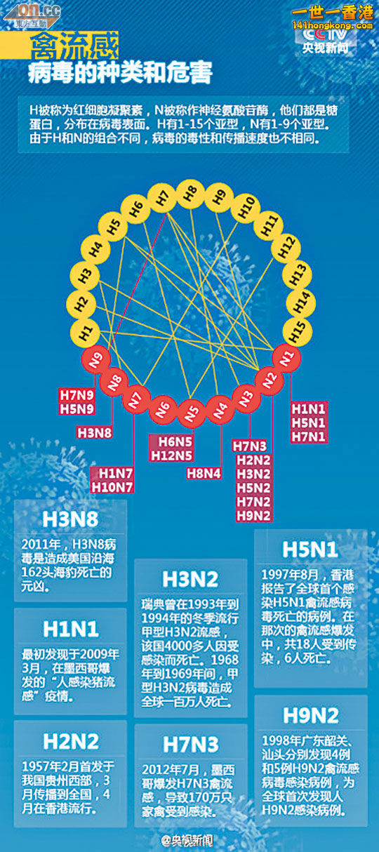 H7N9.jpg