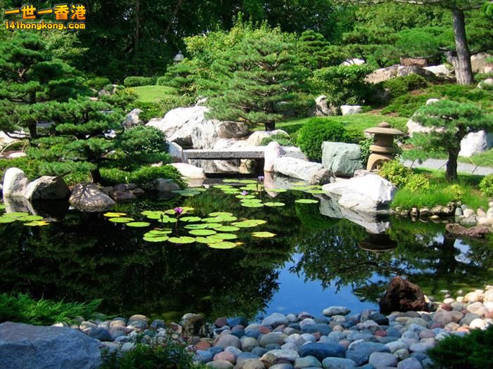 Japanese Gardens     -    1.jpg