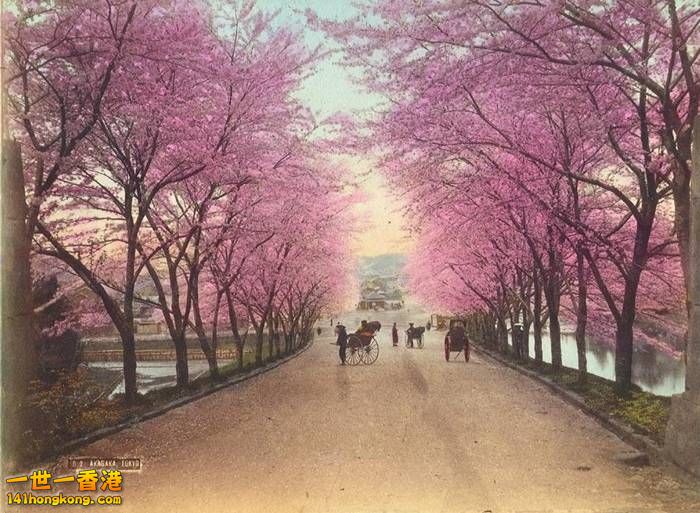 Old Pictures of Tokyo  東京    -   11.jpg